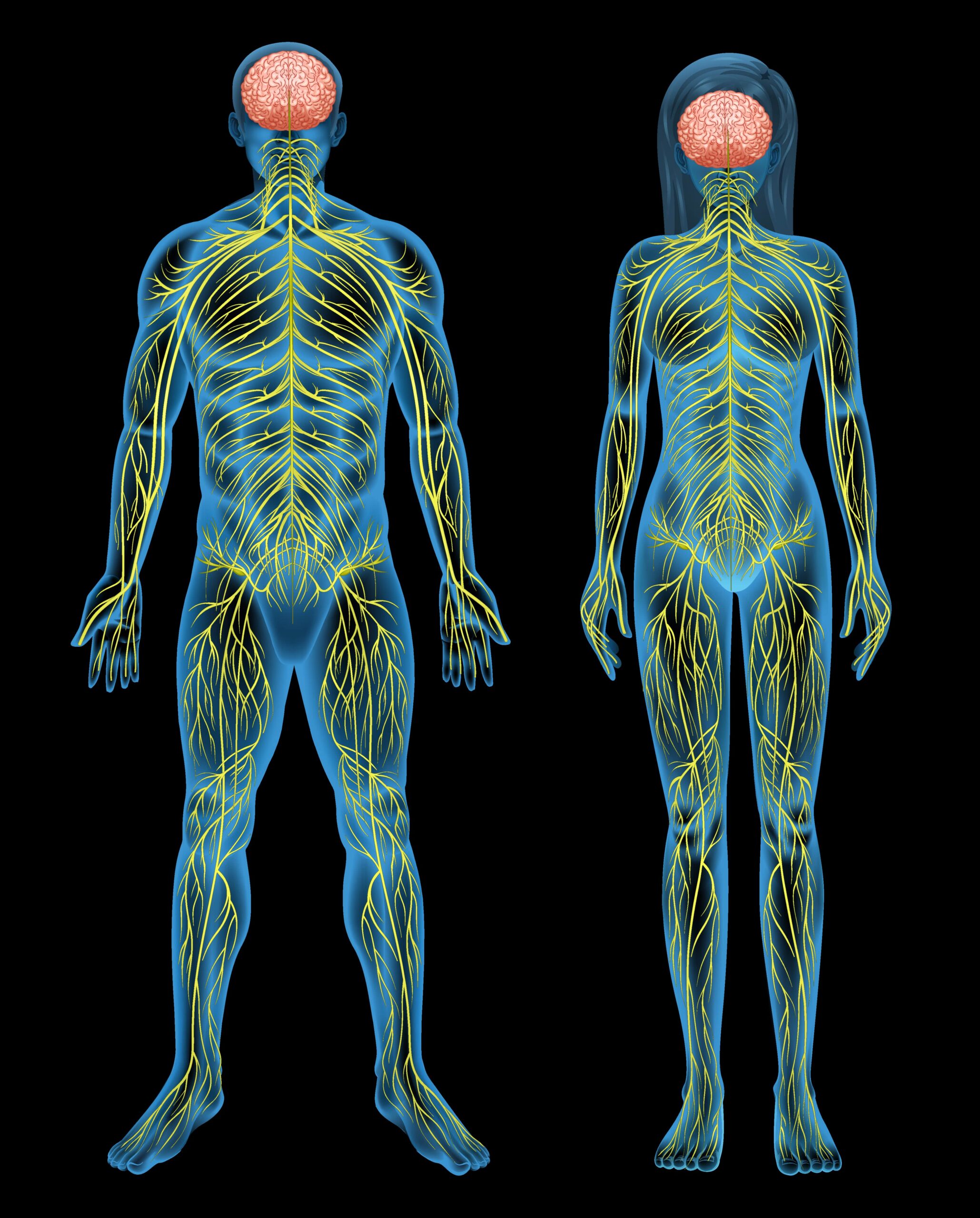 Kiné Neurologique